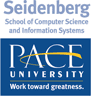 Seidenberg Pace University 
